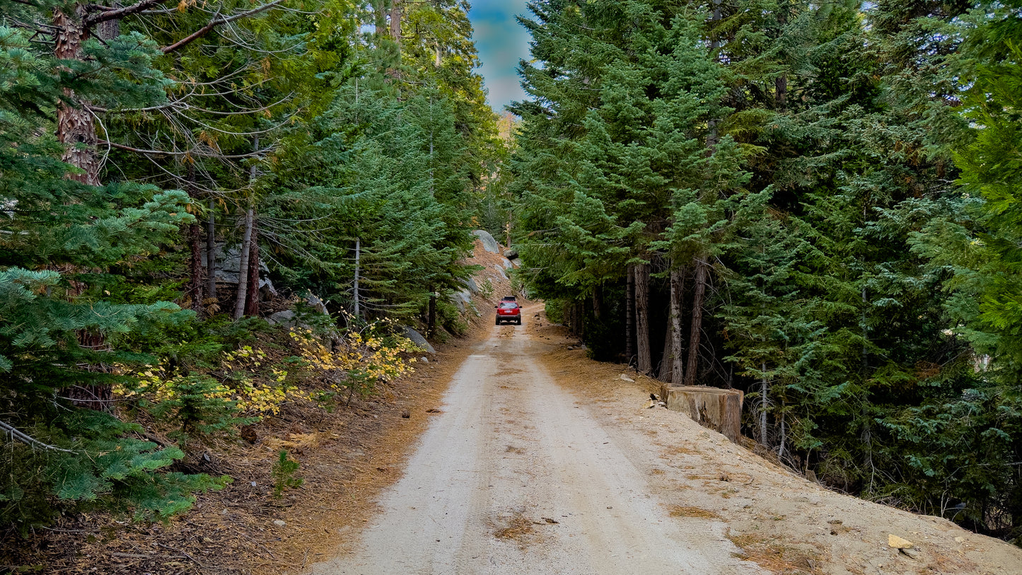 Print - Mt San Jacinto Jeep in the Road