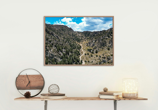 Print - Winding Canyon Road